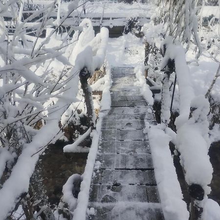 Casuta Din Crai Villa Zarnesti Luaran gambar