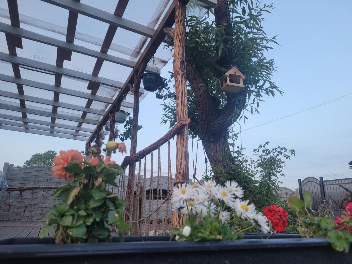 Casuta Din Crai Villa Zarnesti Luaran gambar