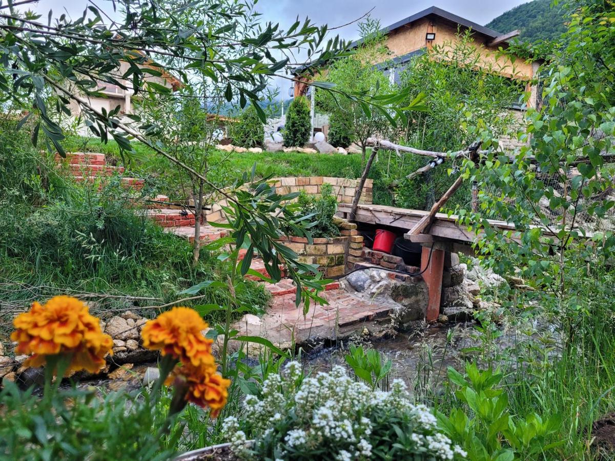 Casuta Din Crai Villa Zarnesti Luaran gambar