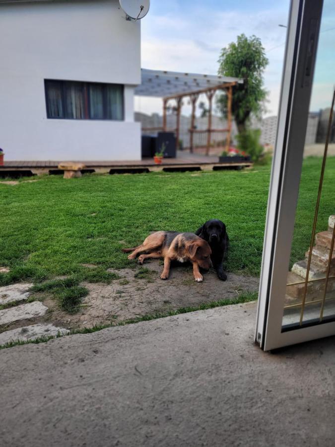 Casuta Din Crai Villa Zarnesti Luaran gambar