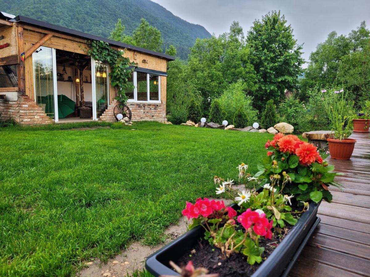 Casuta Din Crai Villa Zarnesti Luaran gambar