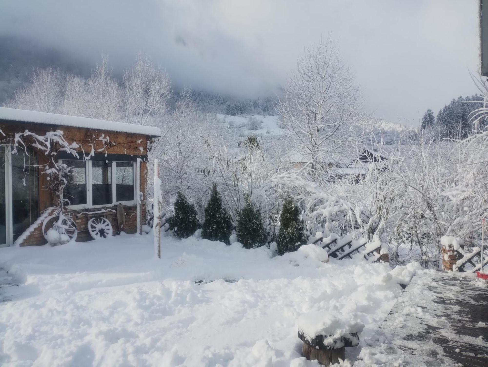 Casuta Din Crai Villa Zarnesti Luaran gambar